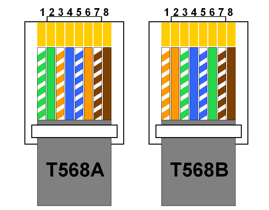 T568A vs. T568B
